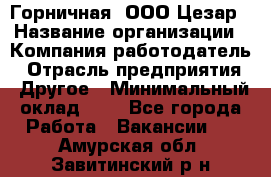 Горничная. ООО Цезар › Название организации ­ Компания-работодатель › Отрасль предприятия ­ Другое › Минимальный оклад ­ 1 - Все города Работа » Вакансии   . Амурская обл.,Завитинский р-н